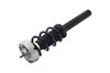 2337073 Suspension Strut and Coil Spring Assembly - image 3