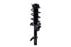 2337077L Suspension Strut and Coil Spring Assembly - image 1