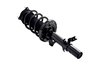 2337077L Suspension Strut and Coil Spring Assembly - image 2