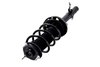 2337077L Suspension Strut and Coil Spring Assembly - image 3