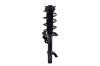 2337077R Suspension Strut and Coil Spring Assembly - image 1