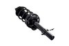 2337077R Suspension Strut and Coil Spring Assembly - image 2