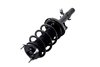 2337077R Suspension Strut and Coil Spring Assembly - image 3