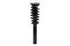 2337097 Suspension Strut and Coil Spring Assembly - image 1