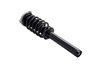 2337097 Suspension Strut and Coil Spring Assembly - image 2