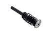 2337097 Suspension Strut and Coil Spring Assembly - image 4