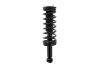 2345397 Suspension Strut and Coil Spring Assembly - image 1