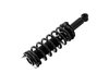 2345397 Suspension Strut and Coil Spring Assembly - image 3