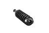 2345397 Suspension Strut and Coil Spring Assembly - image 4