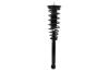 2345399 Suspension Strut and Coil Spring Assembly - image 1