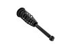 2345399 Suspension Strut and Coil Spring Assembly - image 2