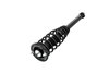 2345399 Suspension Strut and Coil Spring Assembly - image 3