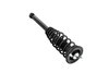 2345399 Suspension Strut and Coil Spring Assembly - image 4