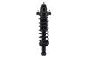 2345434 Suspension Strut and Coil Spring Assembly - image 1