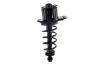 2345453L Suspension Strut and Coil Spring Assembly - image 1