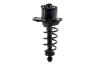 2345453R Suspension Strut and Coil Spring Assembly - image 1