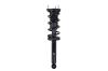 2345476L Suspension Strut and Coil Spring Assembly - image 1