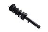 2345476L Suspension Strut and Coil Spring Assembly - image 2