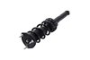 2345476L Suspension Strut and Coil Spring Assembly - image 3