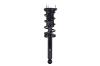 2345476R Suspension Strut and Coil Spring Assembly - image 1