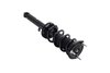 2345476R Suspension Strut and Coil Spring Assembly - image 4