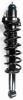 2345484 Suspension Strut and Coil Spring Assembly - image 1