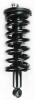 2345497 Suspension Strut and Coil Spring Assembly - image 1
