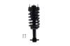 2345555 Suspension Strut and Coil Spring Assembly - image 1