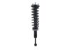 2345558R Suspension Strut and Coil Spring Assembly - image 1
