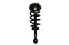 2345561 Suspension Strut and Coil Spring Assembly - image 1