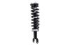 2345567 Suspension Strut and Coil Spring Assembly - image 1