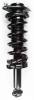 2345763 Suspension Strut and Coil Spring Assembly - image 1