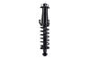 2345766 Suspension Strut and Coil Spring Assembly - image 1