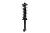 2345793L Suspension Strut and Coil Spring Assembly - image 1