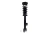 2345795 Suspension Strut and Coil Spring Assembly - image 1