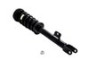 2345795 Suspension Strut and Coil Spring Assembly - image 2