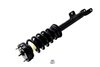 2345795 Suspension Strut and Coil Spring Assembly - image 3