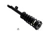 2345795 Suspension Strut and Coil Spring Assembly - image 4