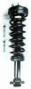 2345798L Suspension Strut and Coil Spring Assembly - image 1