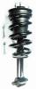 2345815 Suspension Strut and Coil Spring Assembly - image 1