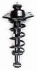 2345826L Suspension Strut and Coil Spring Assembly - image 1