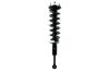 2345849R Suspension Strut and Coil Spring Assembly - image 1