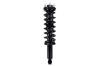 2345881 Suspension Strut and Coil Spring Assembly - image 1