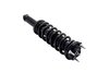 2345881 Suspension Strut and Coil Spring Assembly - image 4
