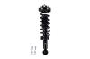 2345882R Suspension Strut and Coil Spring Assembly - image 1