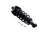 2355016L Suspension Strut and Coil Spring Assembly - image 2