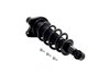 2355016R Suspension Strut and Coil Spring Assembly - image 2