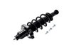 2355016R Suspension Strut and Coil Spring Assembly - image 3