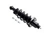 2355016R Suspension Strut and Coil Spring Assembly - image 4