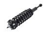 2355017R Suspension Strut and Coil Spring Assembly - image 3